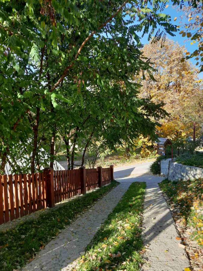 Mrdja Apartments Kolašin Kültér fotó